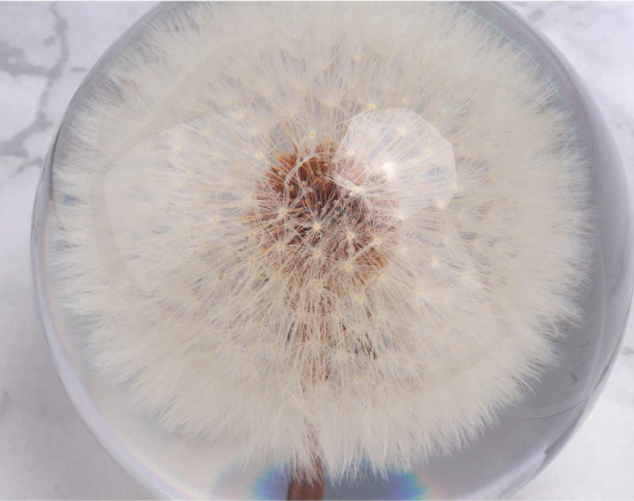 Real Dandelion Crystal Glass Resin Lens Ball