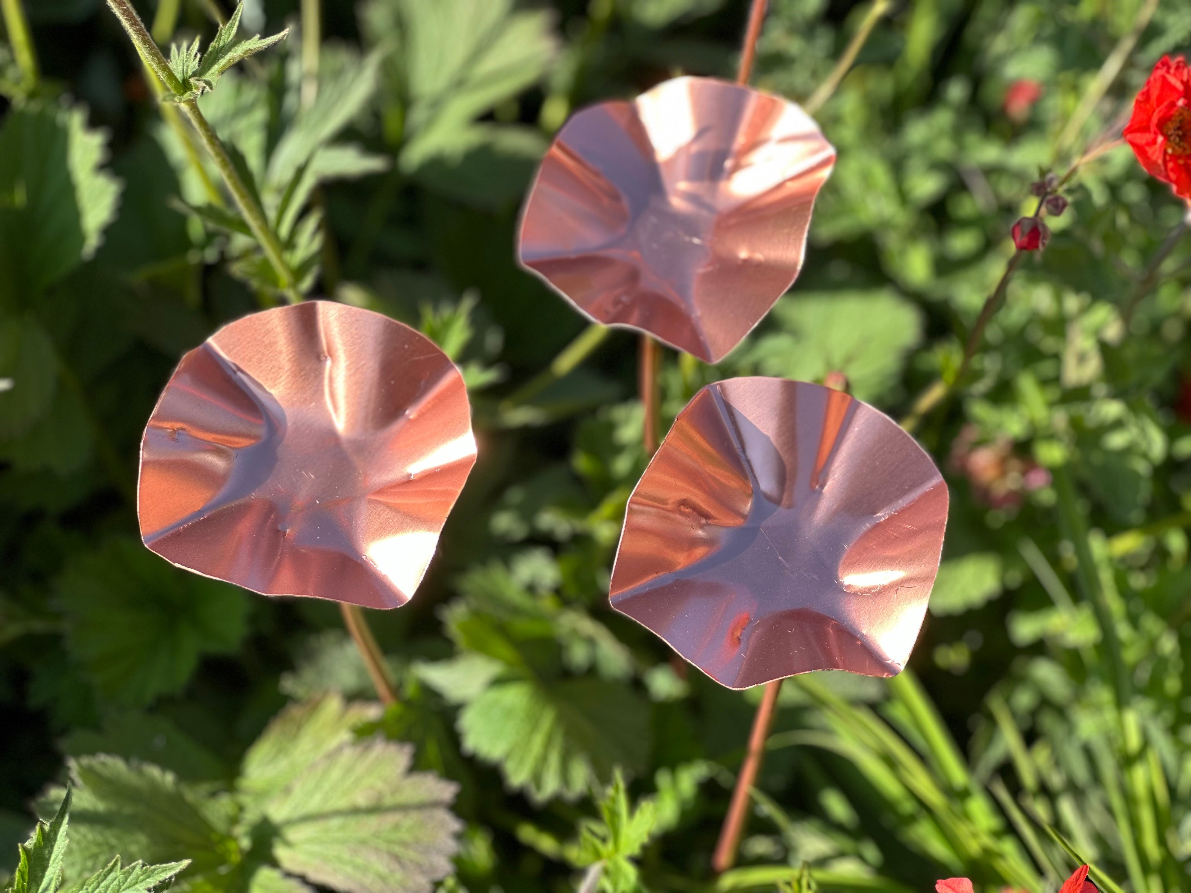 3 x Copper Bee Drinker Bundle