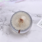 Real Dandelion Crystal Glass Resin Lens Ball