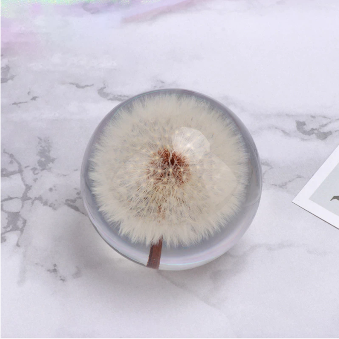 Real Dandelion Crystal Glass Resin Lens Ball