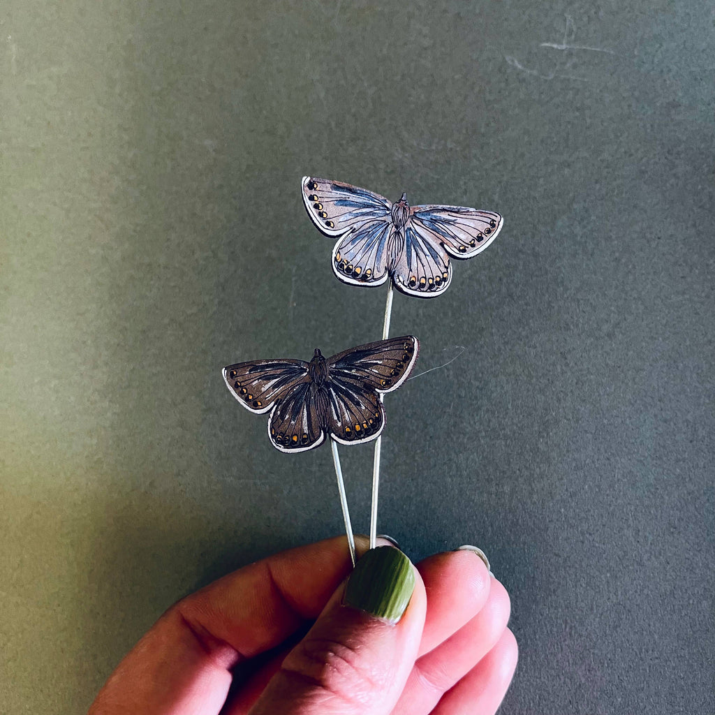 Common Blue Butterfly Plant Pot Companions 