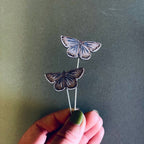 Common Blue Butterfly Plant Pot Companions 