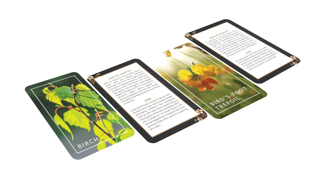 The Hedgerow Apothecary Forager's Card Deck: 52 Beautiful Identification Cards and Booklet to Help You Find and Gather Wild Plants