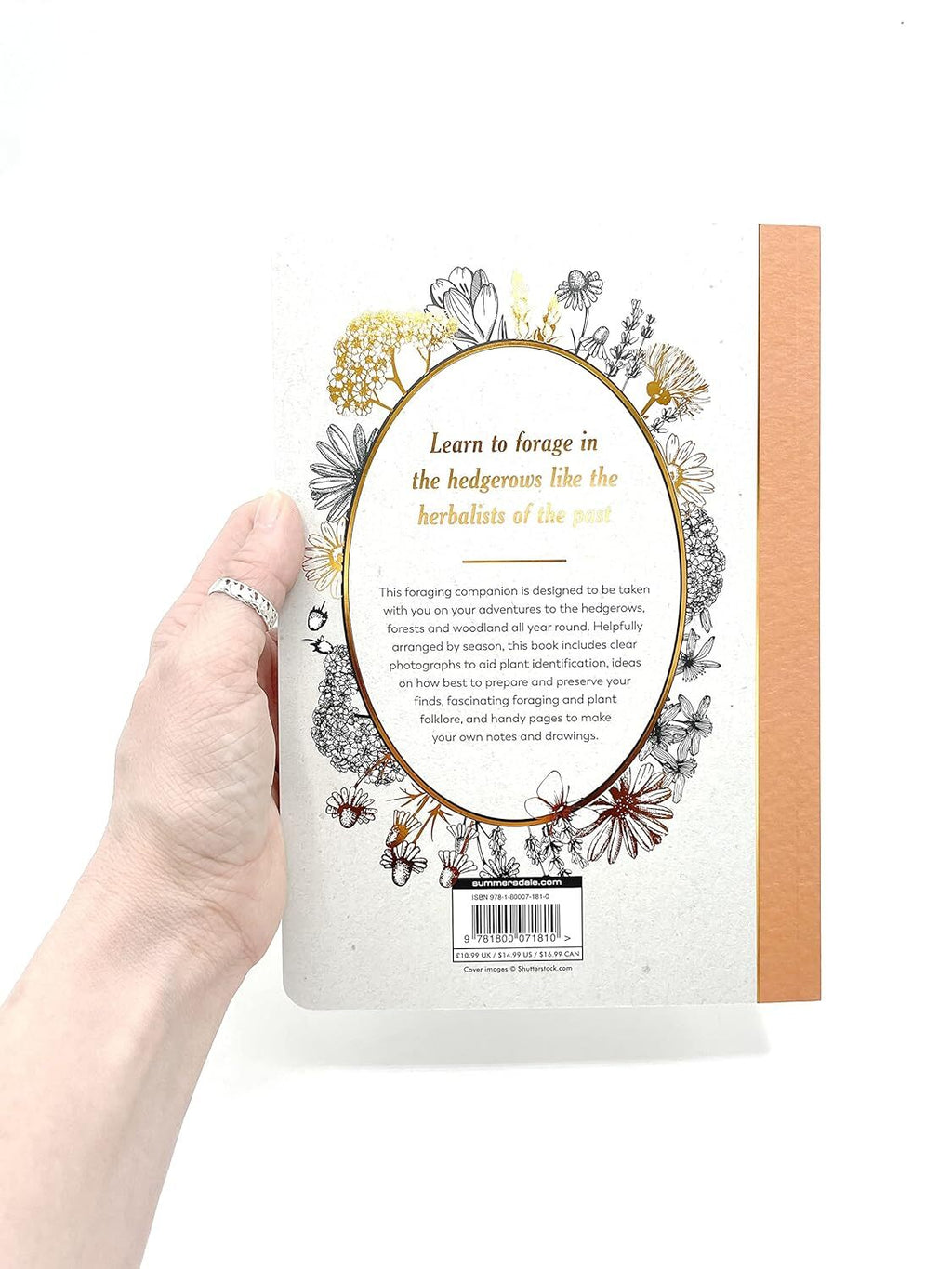 The Hedgerow Apothecary Forager's Handbook: A Seasonal Companion to Finding and Gathering Wild Plants by Christine Iverson