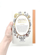 The Hedgerow Apothecary Forager's Handbook: A Seasonal Companion to Finding and Gathering Wild Plants by Christine Iverson