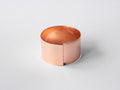 Heavy Duty Copper Plant Ring - 9cm