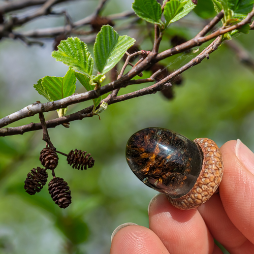 Alder Terrarium Pendant