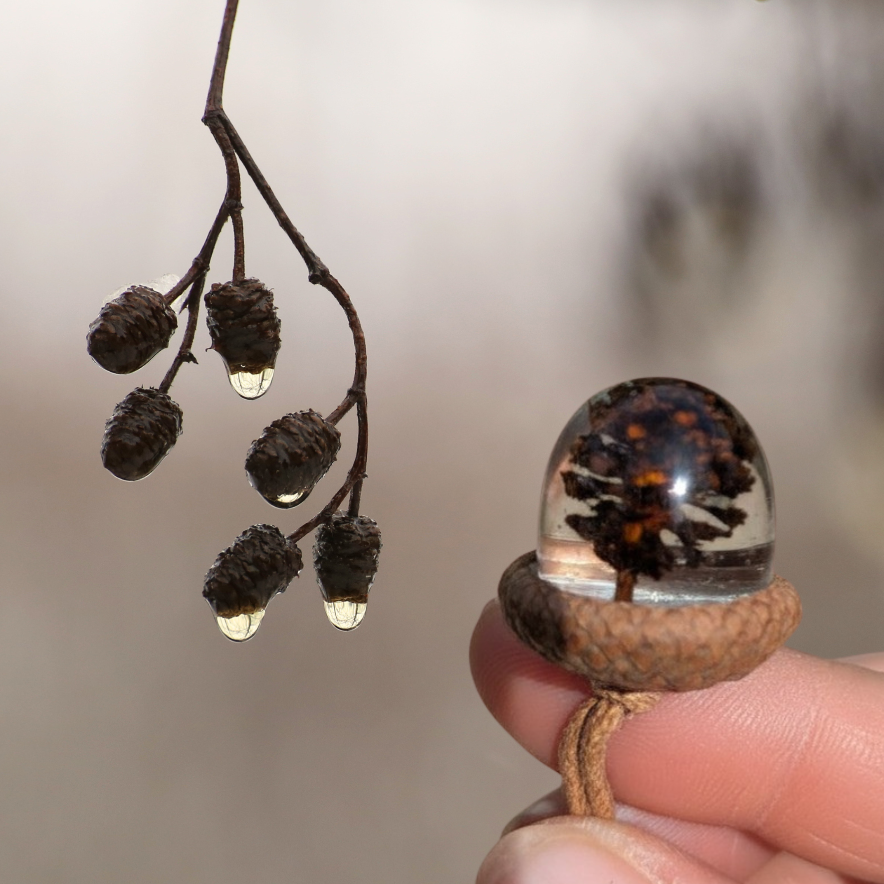 Alder Terrarium Pendant