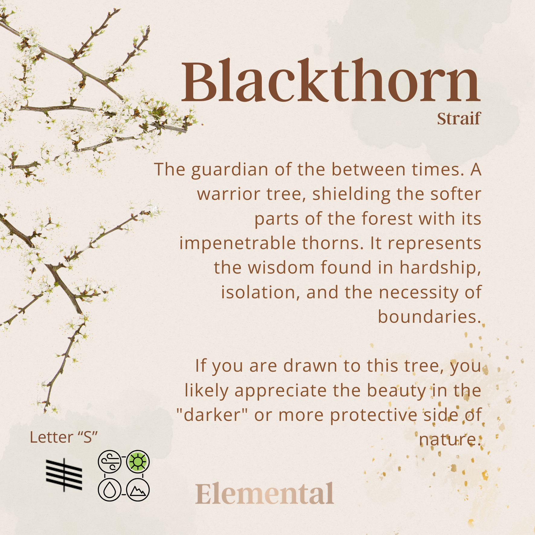 Blackthorn Terrarium Pendant