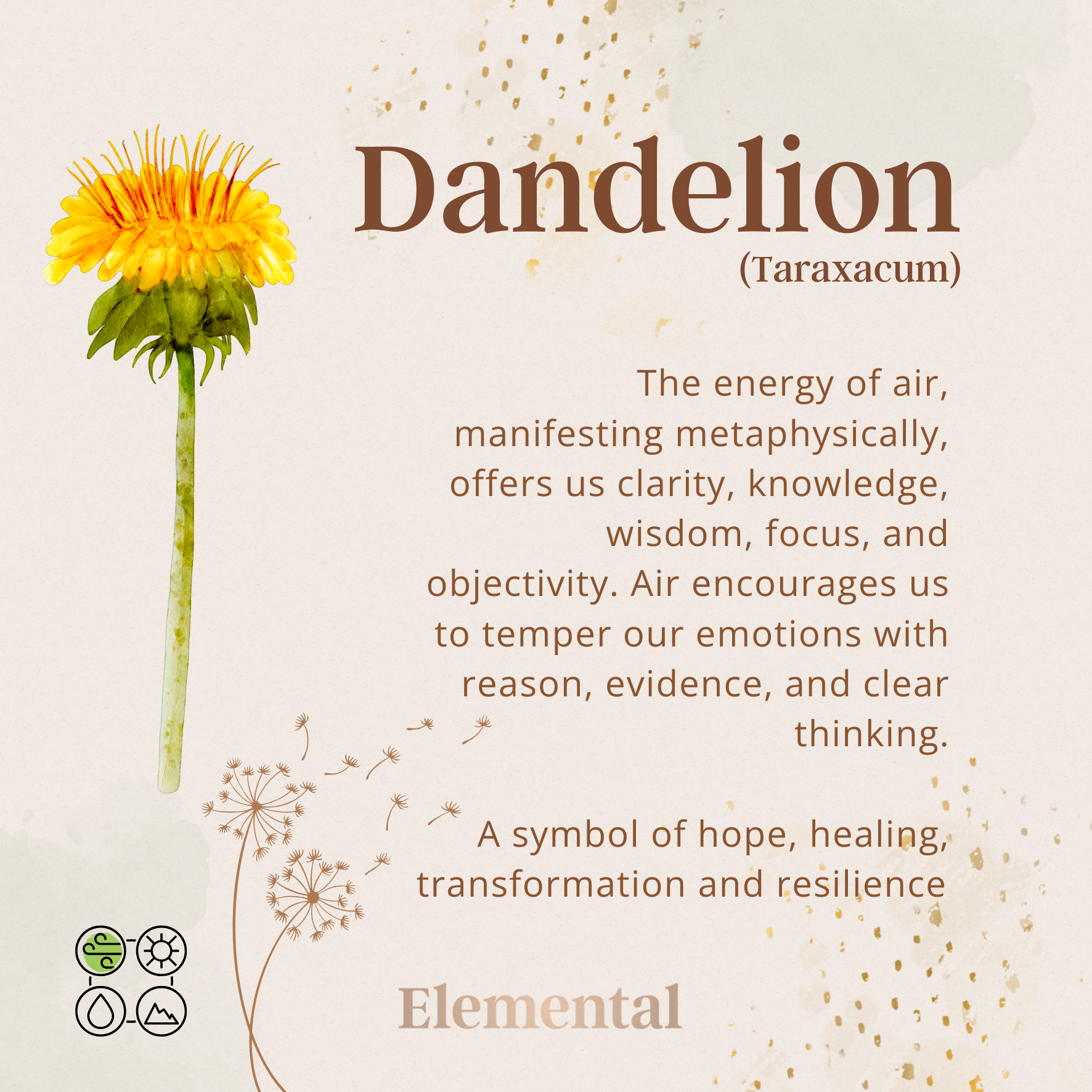 Dandelion Terrarium Pendant