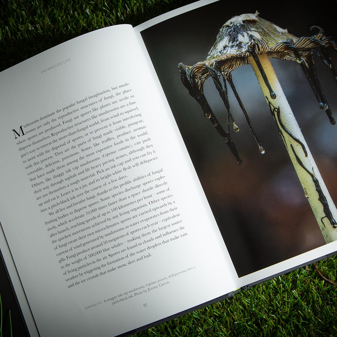 Entangled Life (The Illustrated Edition) by Merlin Sheldrake