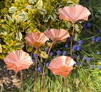 5 x Copper Bee Drinker Bundle
