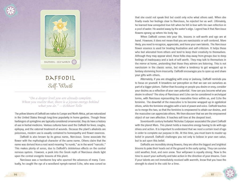 The Herbal Healing Deck by Sarah Baldwin