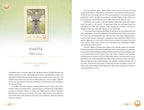 The Herbal Healing Deck by Sarah Baldwin