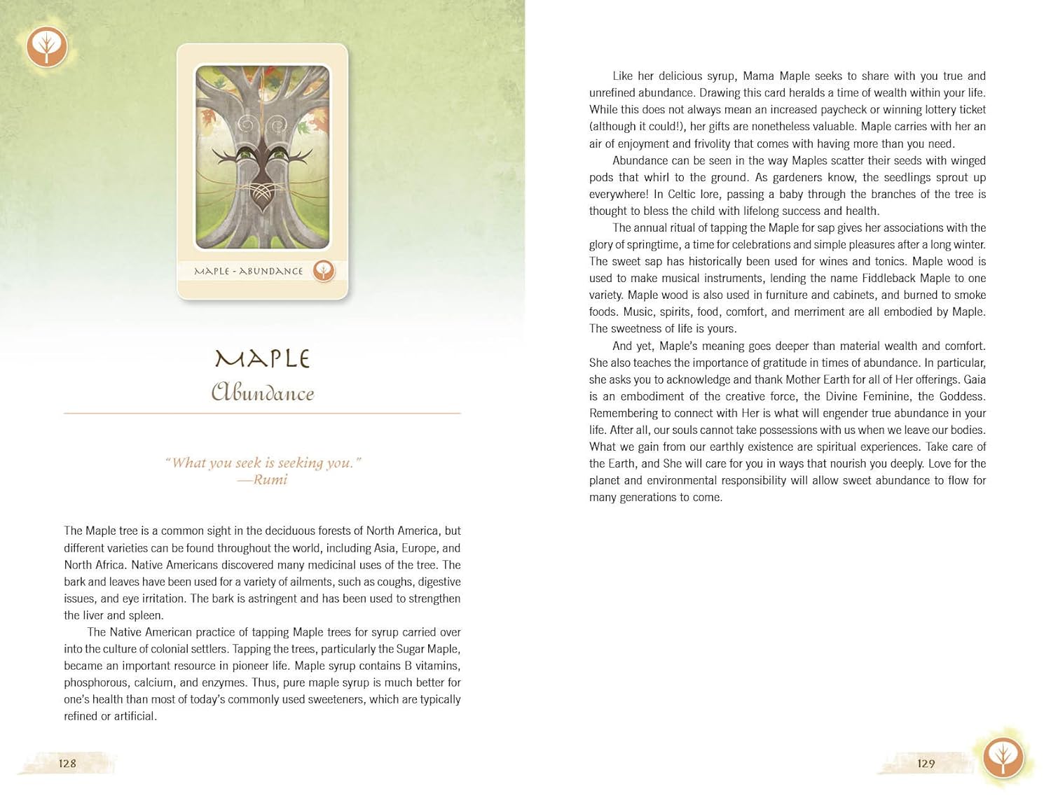 The Herbal Healing Deck by Sarah Baldwin