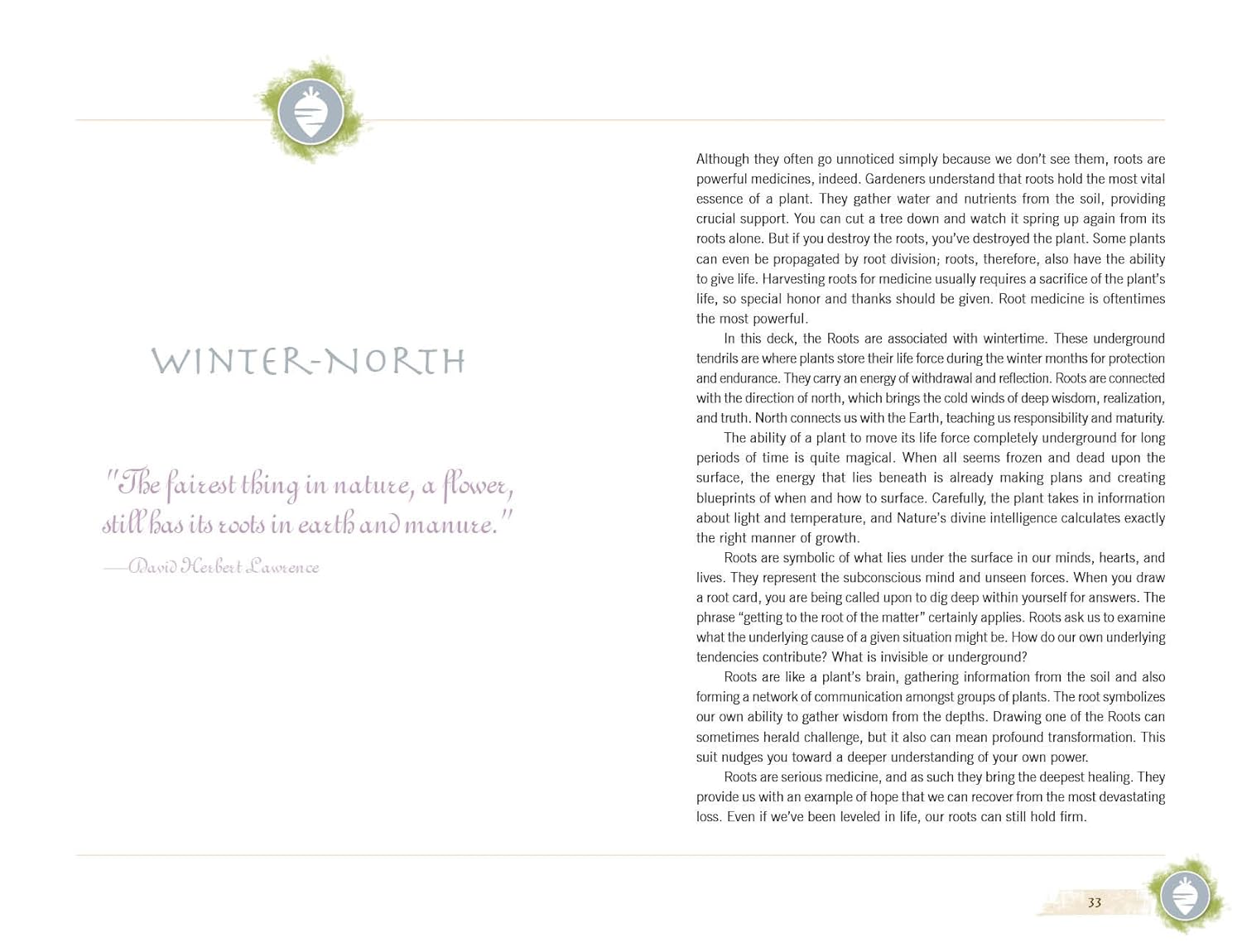 The Herbal Healing Deck by Sarah Baldwin