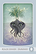 The Herbal Healing Deck by Sarah Baldwin