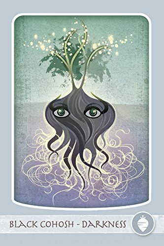 The Herbal Healing Deck by Sarah Baldwin