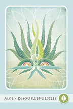 The Herbal Healing Deck by Sarah Baldwin