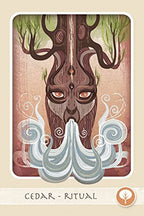 The Herbal Healing Deck by Sarah Baldwin
