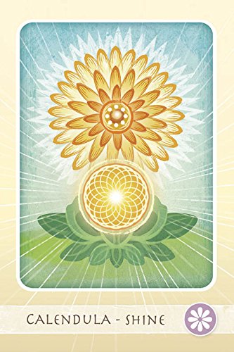 The Herbal Healing Deck by Sarah Baldwin