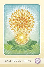 The Herbal Healing Deck by Sarah Baldwin
