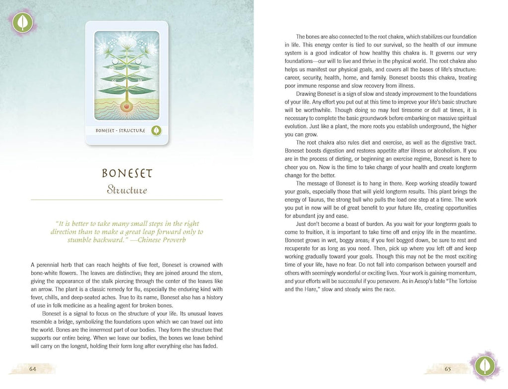 The Herbal Healing Deck by Sarah Baldwin
