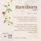Hawthorn Terrarium Pendant