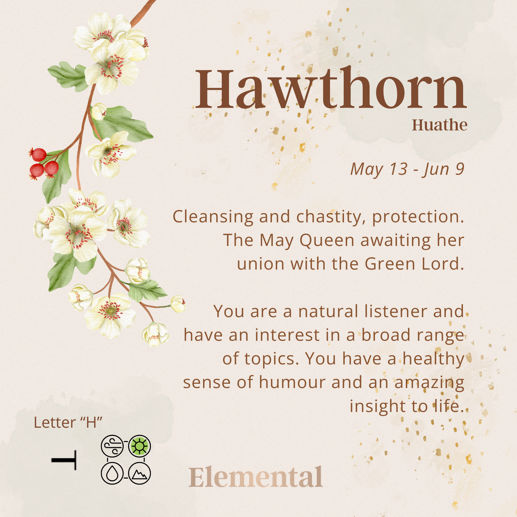 Hawthorn Terrarium Pendant