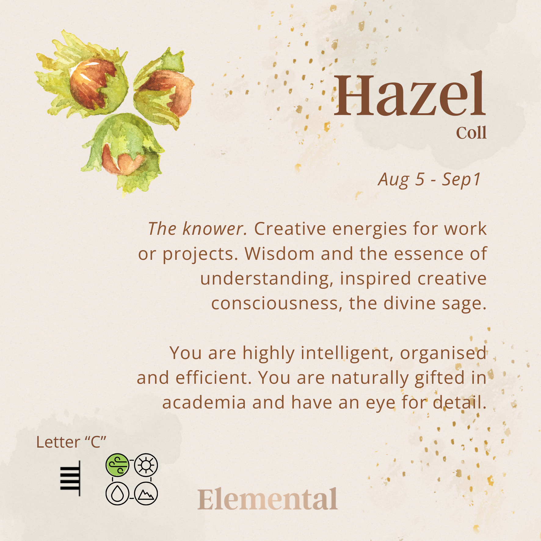 Hazel Terrarium Pendant