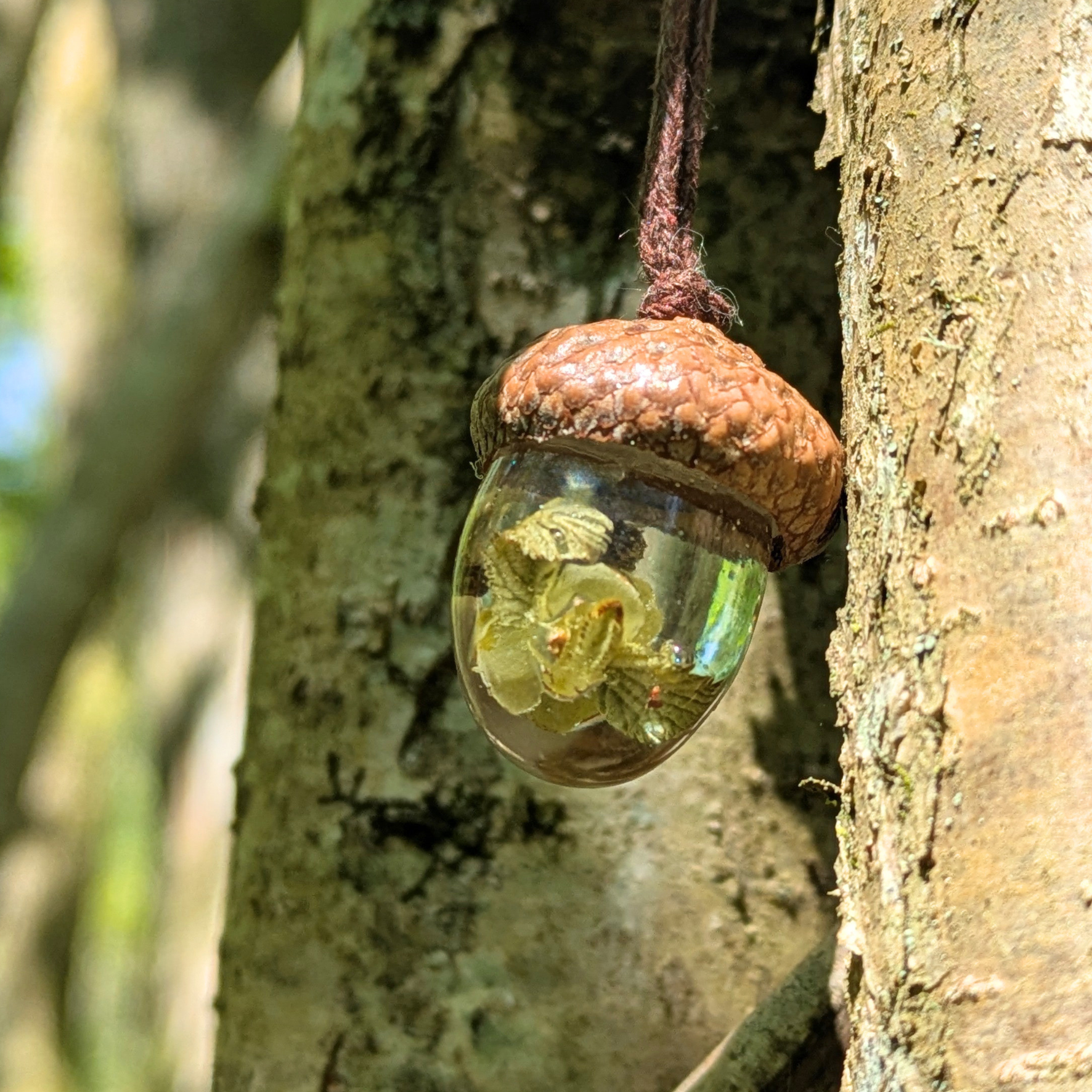 Hazel Terrarium Pendant