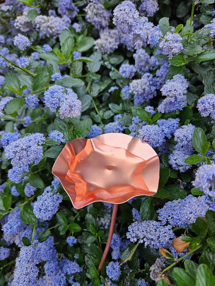 5 x Copper Bee Drinker Bundle