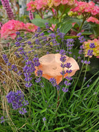 3 x Copper Bee Drinker Bundle