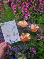 3 x Copper Bee Drinker Bundle