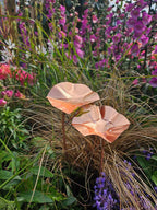 3 x Copper Bee Drinker Bundle