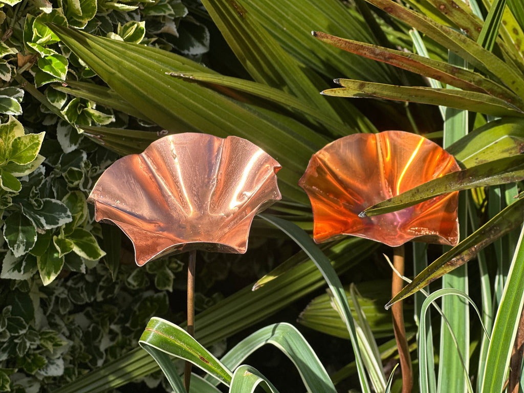 3 x Copper Bee Drinker Bundle