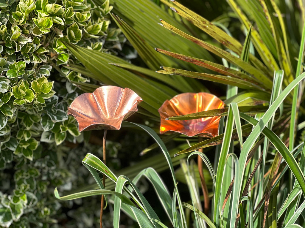 3 x Copper Bee Drinker Bundle