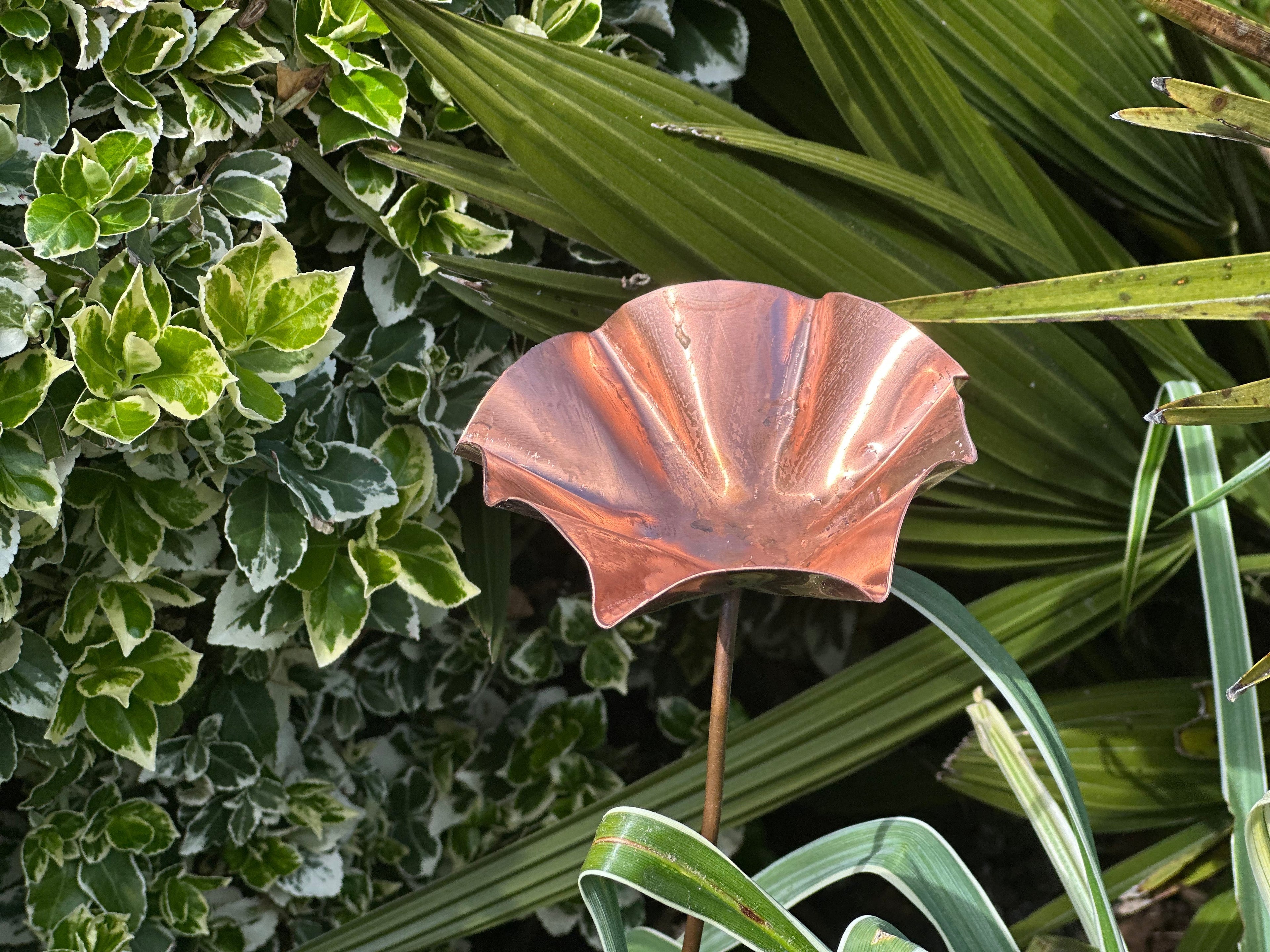 3 x Copper Bee Drinker Bundle