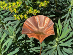 3 x Copper Bee Drinker Bundle