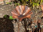 3 x Copper Bee Drinker Bundle