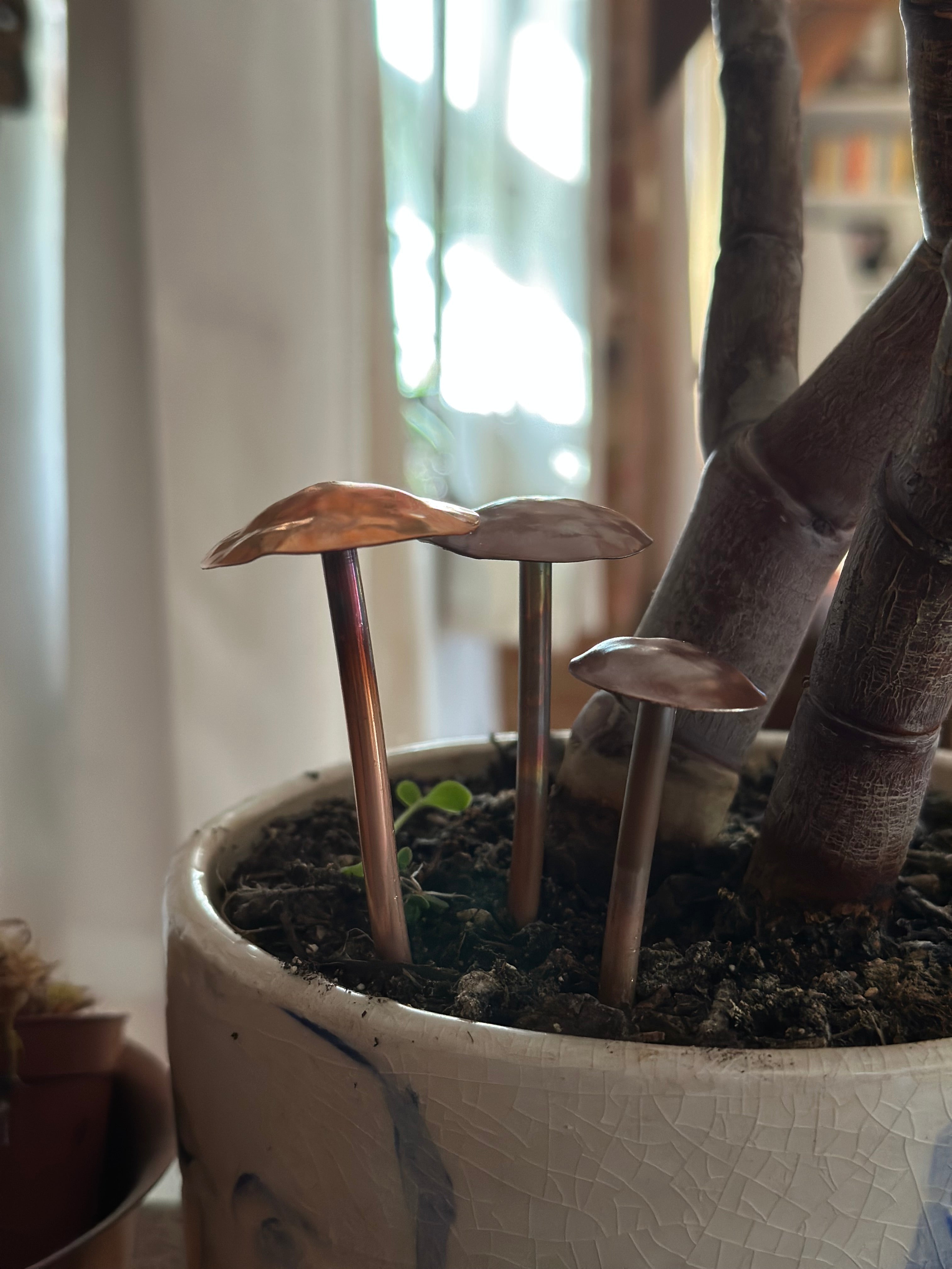 3 Copper Mushrooms