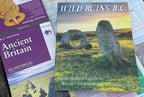 Wild Ruins BC: The explorer's guide to Britain's ancient sites by  Dave Hamilton