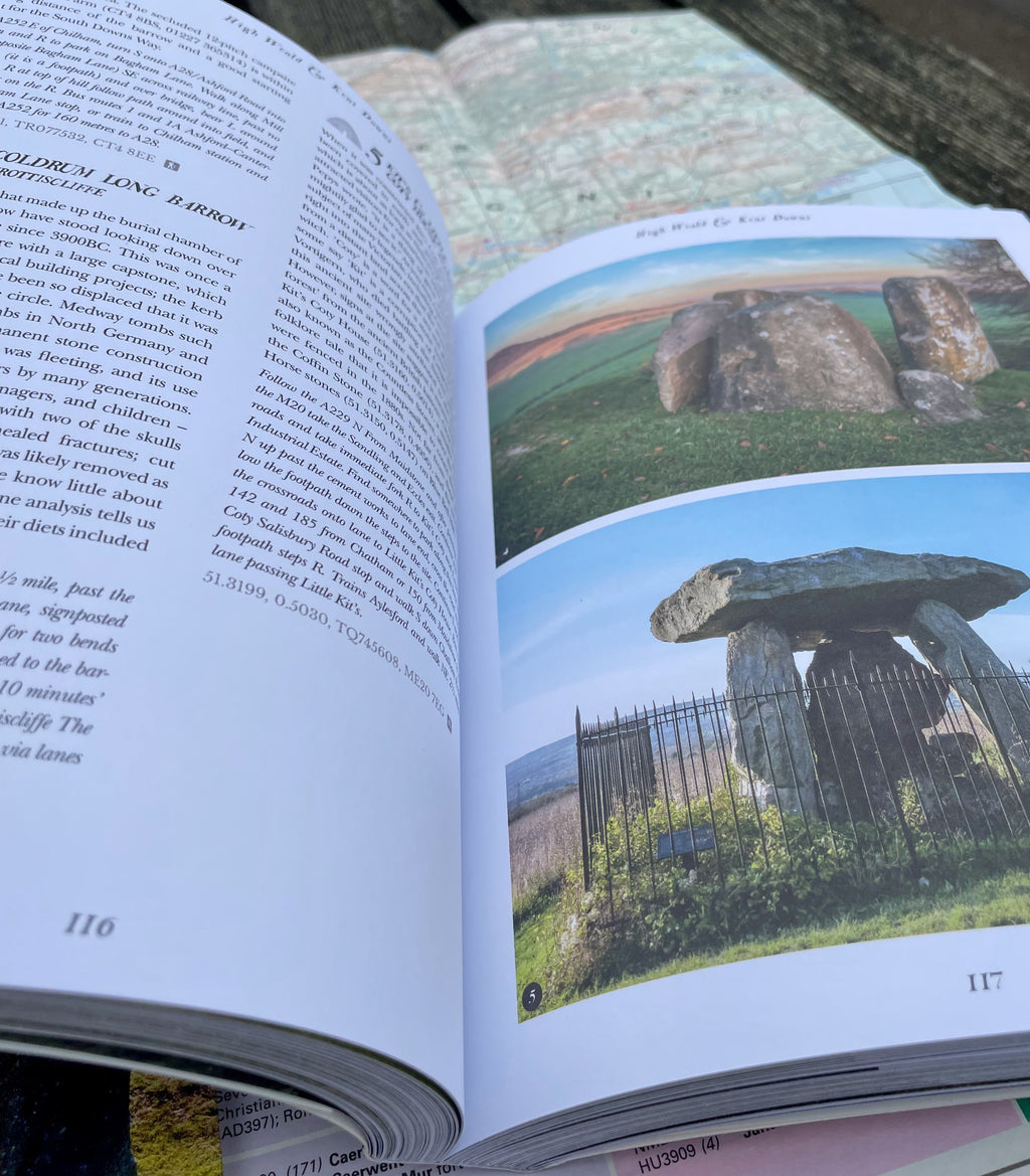 Wild Ruins BC: The explorer's guide to Britain's ancient sites by  Dave Hamilton
