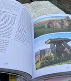 Wild Ruins BC: The explorer's guide to Britain's ancient sites by  Dave Hamilton
