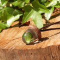 English Ivy Leaf Terrarium Pendant