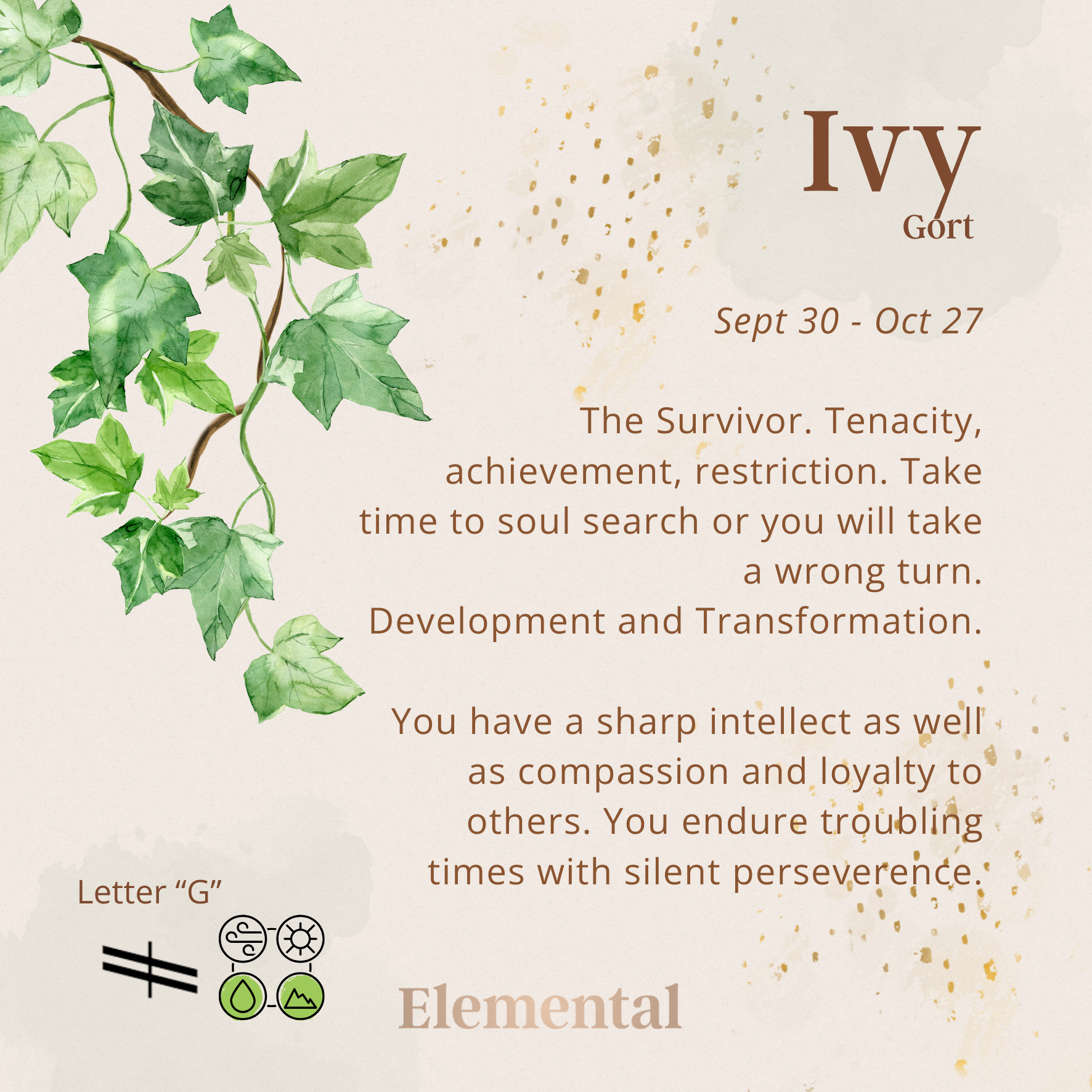 English Ivy Leaf Terrarium Pendant
