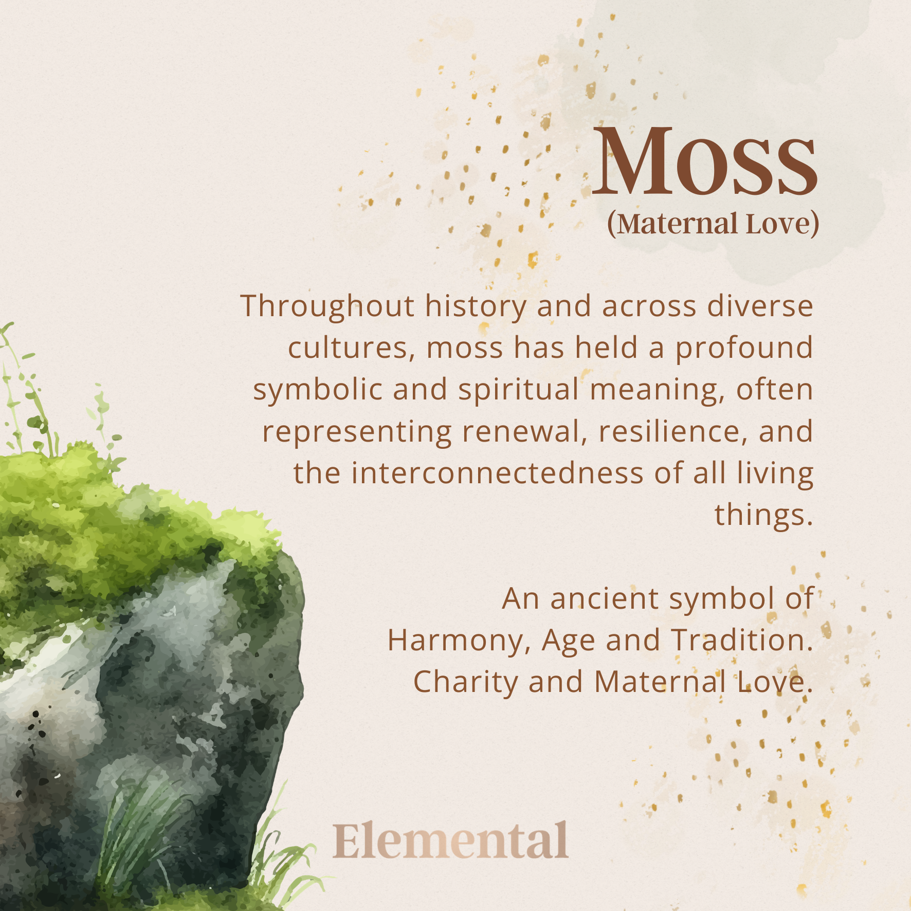 Moss Terrarium Pendant