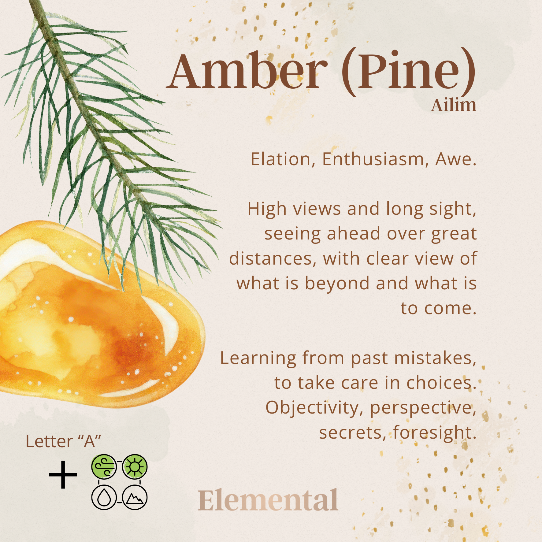 Baltic Amber Terrarium Pendant
