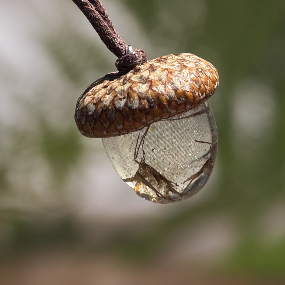 Reed Terrarium Pendant