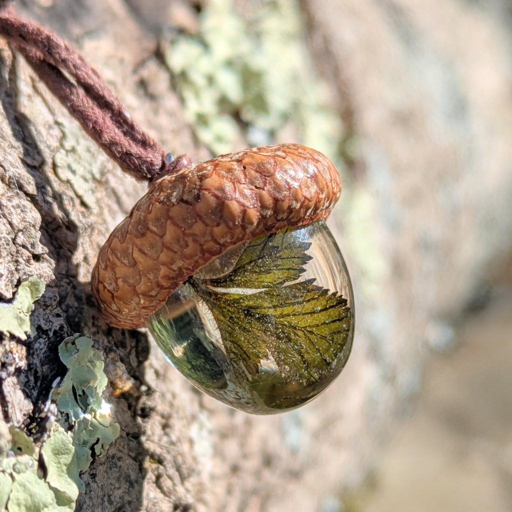 Vine Terrarium Pendant